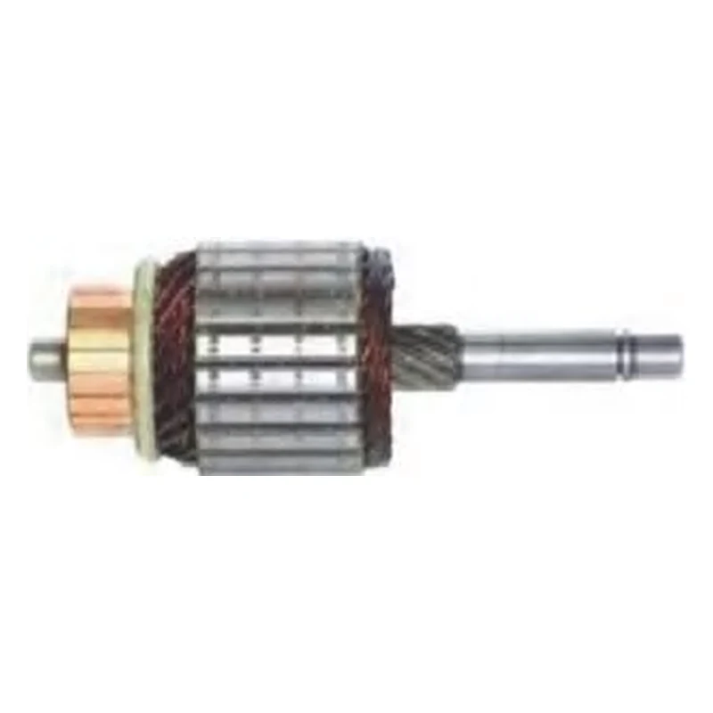 Induzido 914023