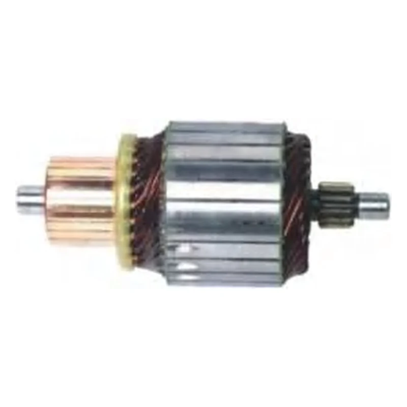 Induzido 914021